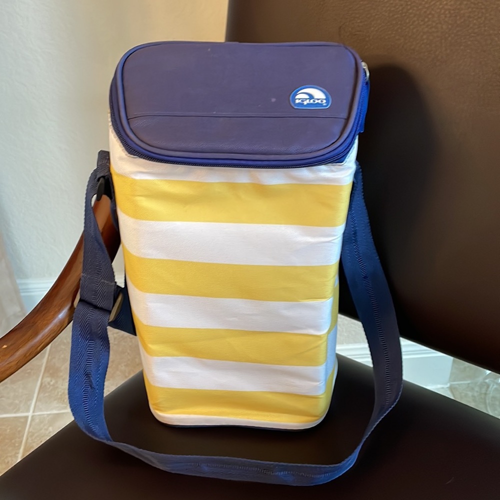 Igloo Insulated Wine Bag